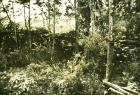 DJP-6-2-002(146)